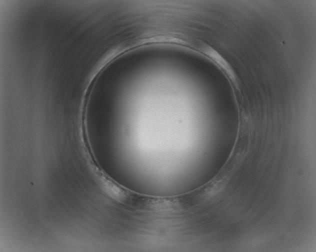 X0000070241002200606021125