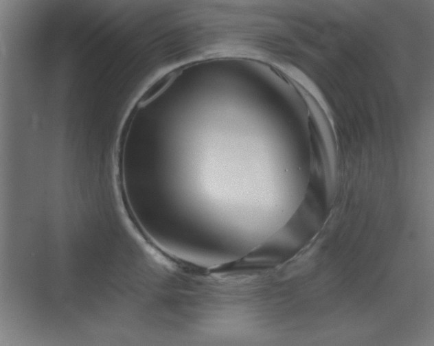 X0000070241005200606021125