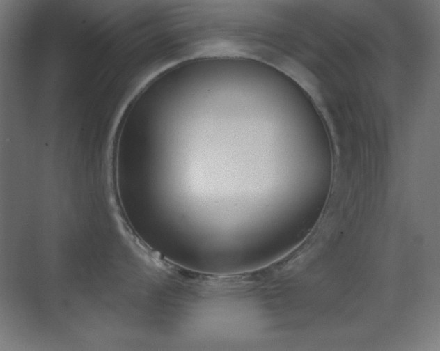 X0000070241008200606021125