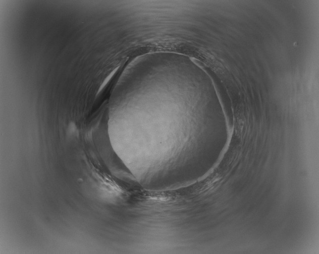 X0000070241010200606021124