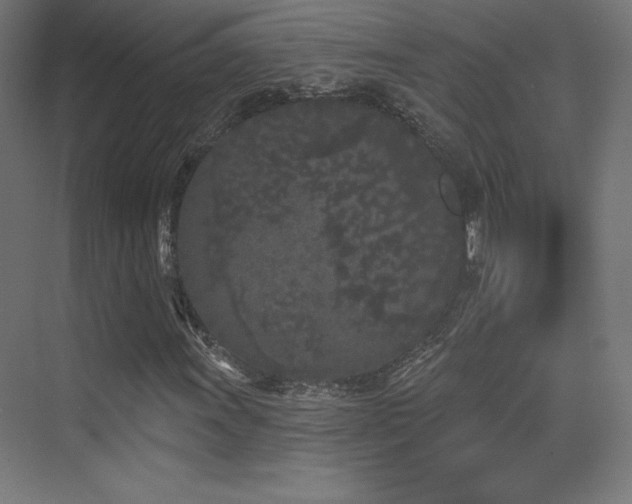 X0000070241011200606021124
