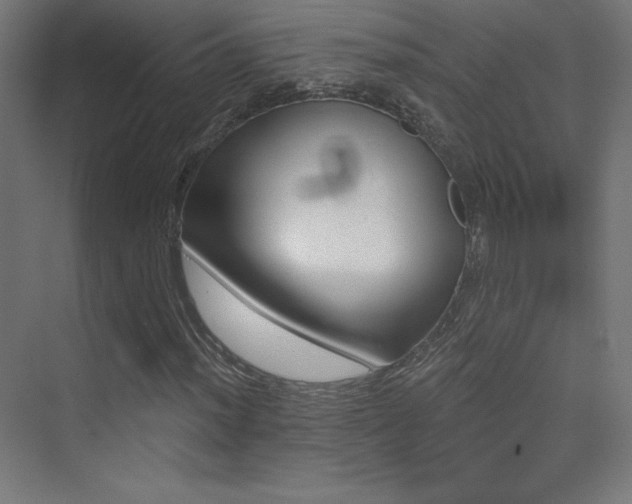 X0000070241012200606021124