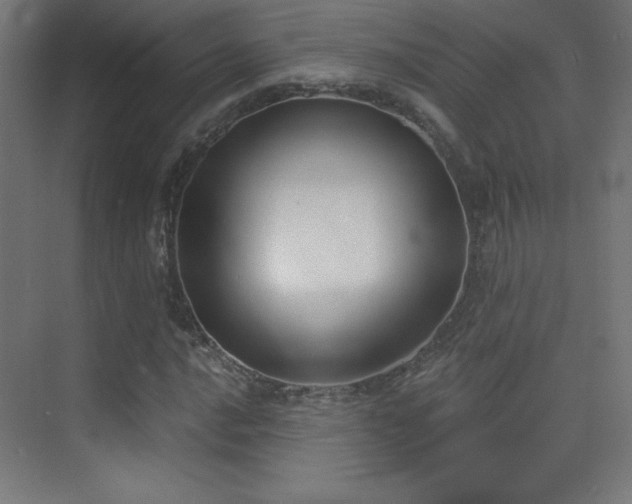X0000070241016200606021124