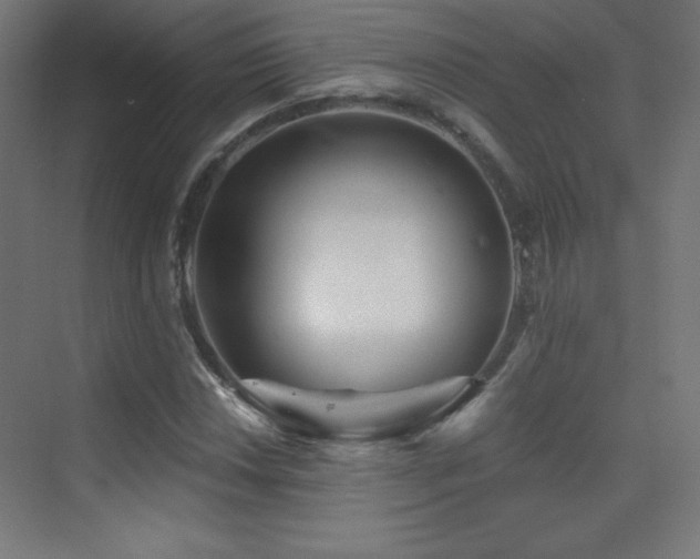X0000070241018200606021124