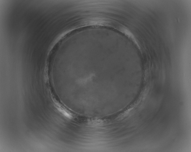 X0000070241019200606021124