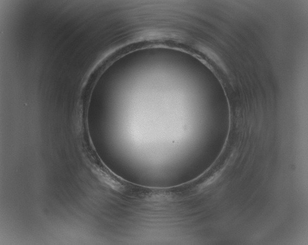 X0000070241021200606021124