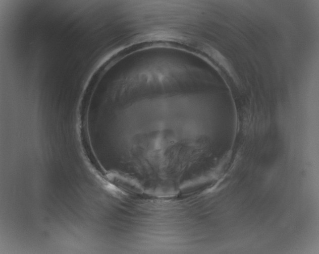 X0000070241024200606021124