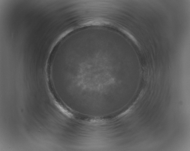 X0000070241026200606021124
