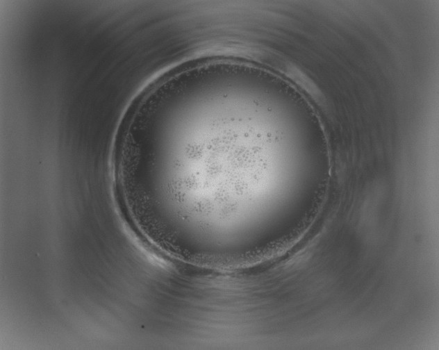 X0000070241028200606021124