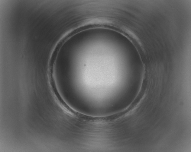 X0000070241029200606021125