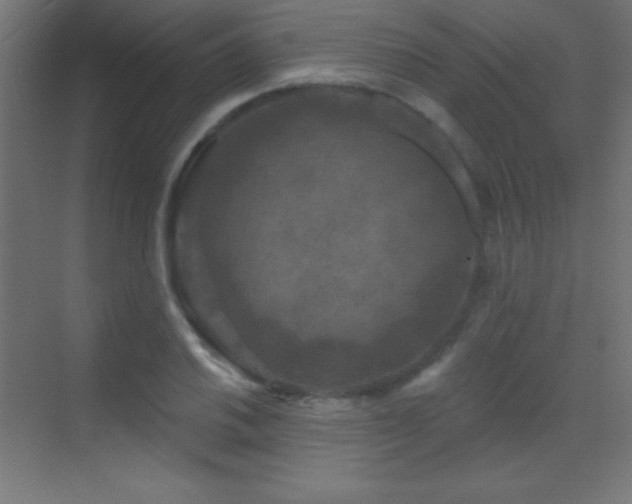 X0000070241030200606021125
