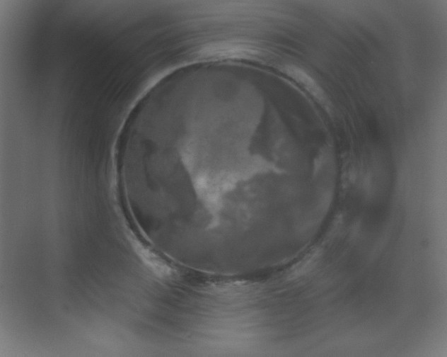 X0000070241031200606021125