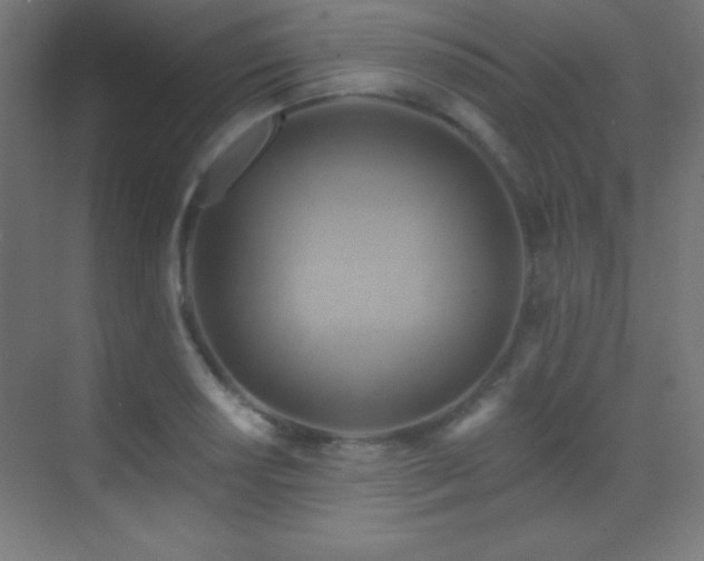 X0000070241034200606021125