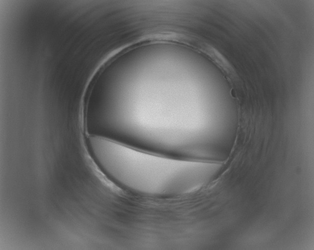 X0000070241036200606021125