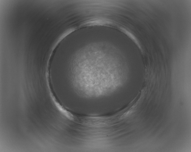 X0000070241042200606021125
