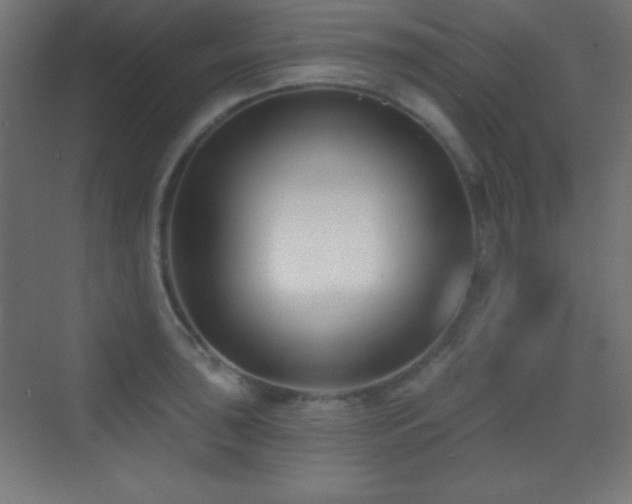 X0000070241043200606021125