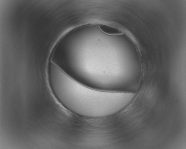 X0000070241048200606021125