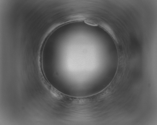 X0000070241051200606021125
