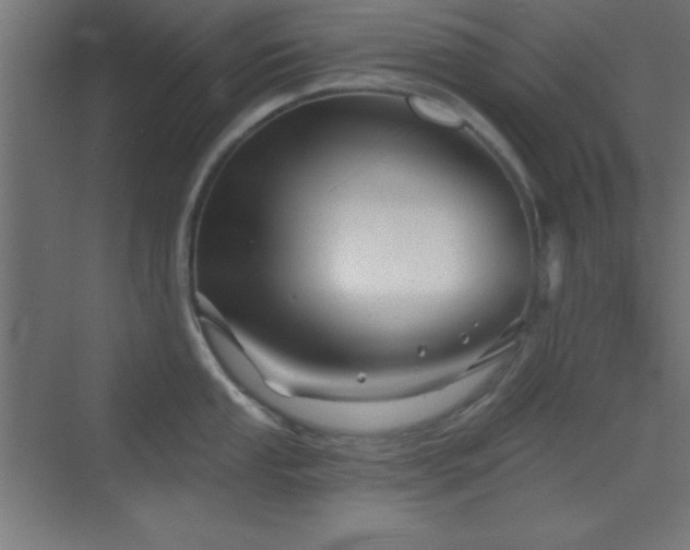 X0000070241053200606021125