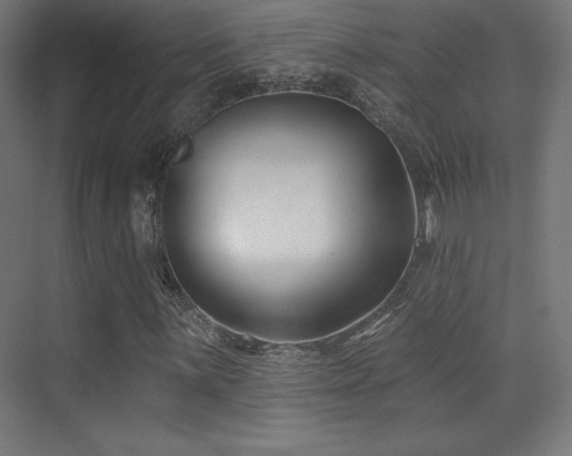 X0000070241059200606021124