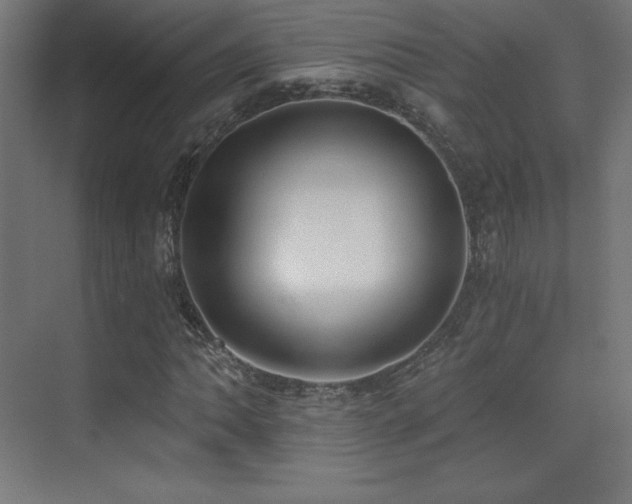 X0000070241062200606021124