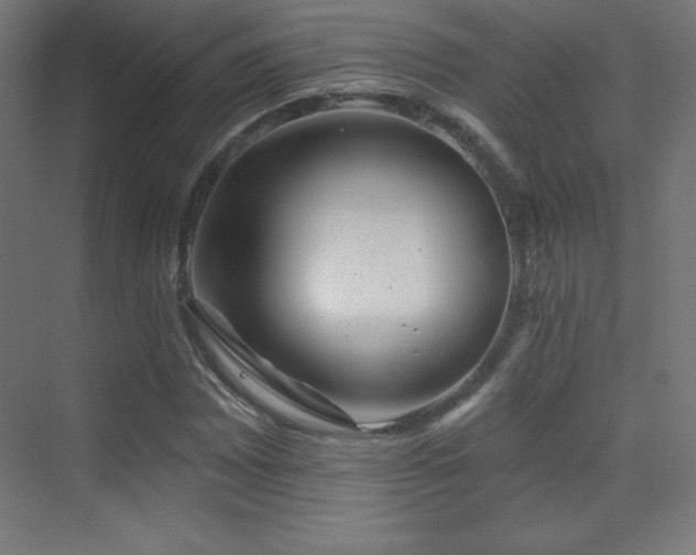 X0000070241065200606021124