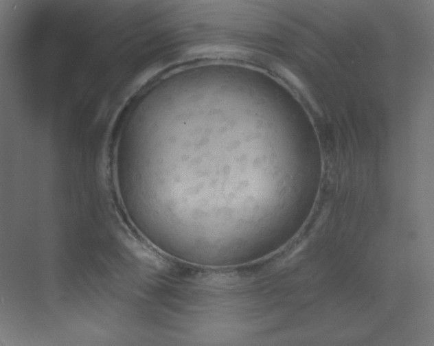 X0000070241074200606021124