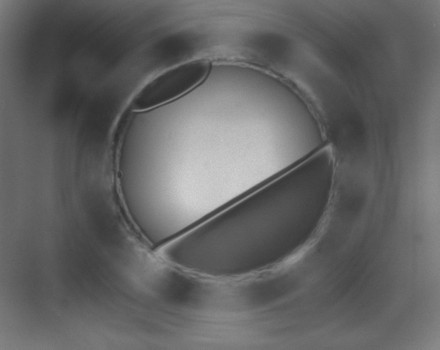 X0000070241075200606021124