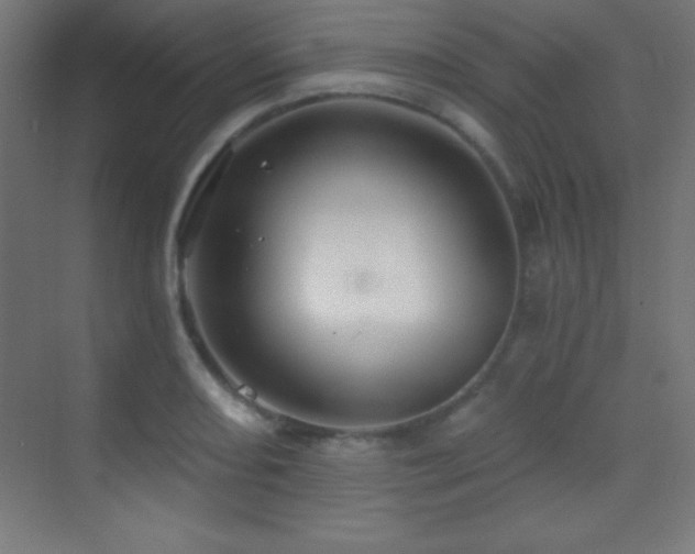 X0000070241082200606021124