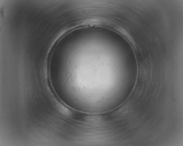 X0000070241083200606021124
