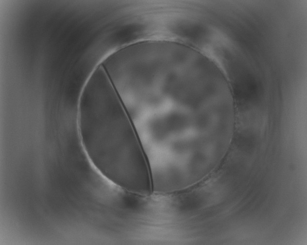 X0000070241095200606021124