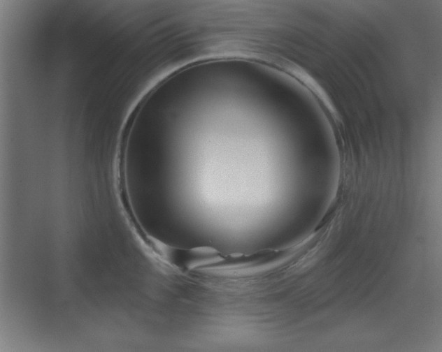 X0000070241101200606021123