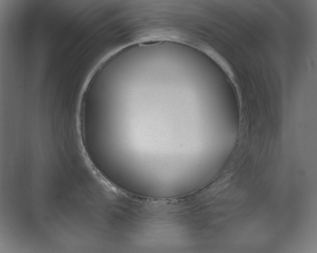 X0000070241104200606021123