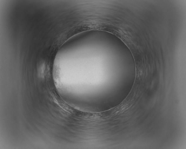 X0000070241106200606021123