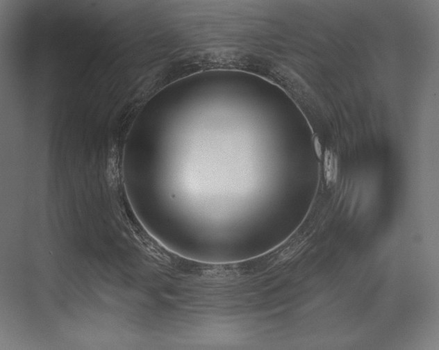 X0000070241107200606021123