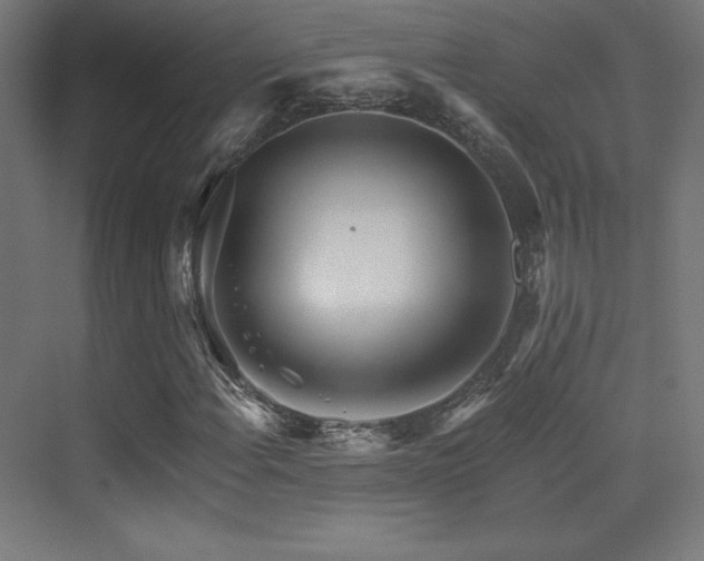 X0000070241108200606021123