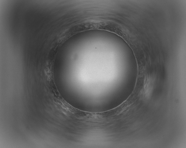 X0000070241109200606021123