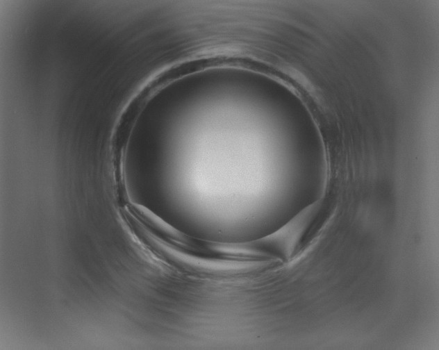 X0000070241118200606021123