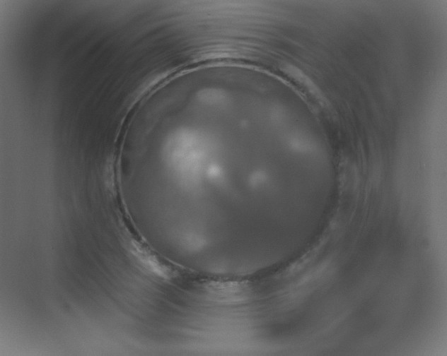 X0000070241121200606021123