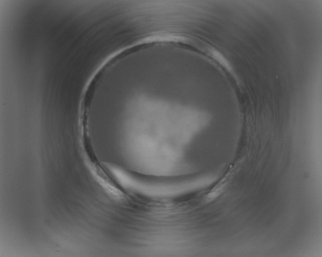 X0000070241124200606021123