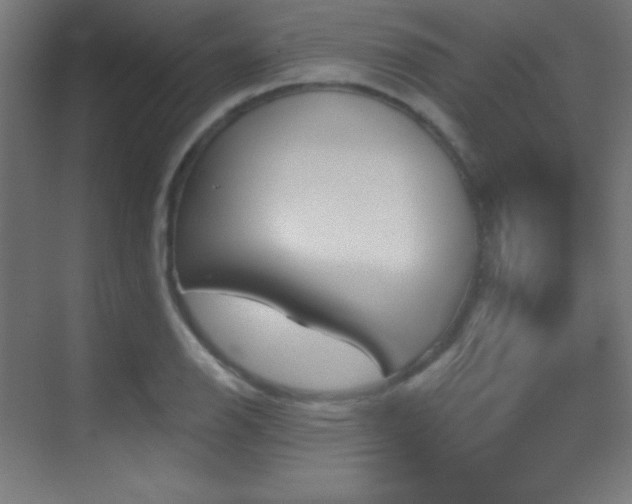 X0000070241126200606021123