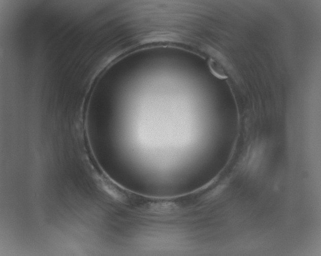 X0000070241129200606021123