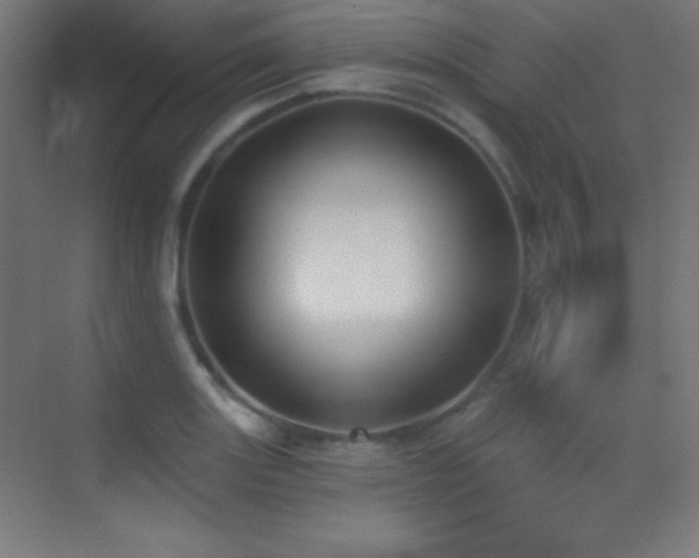 X0000070241131200606021123