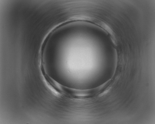X0000070241132200606021123