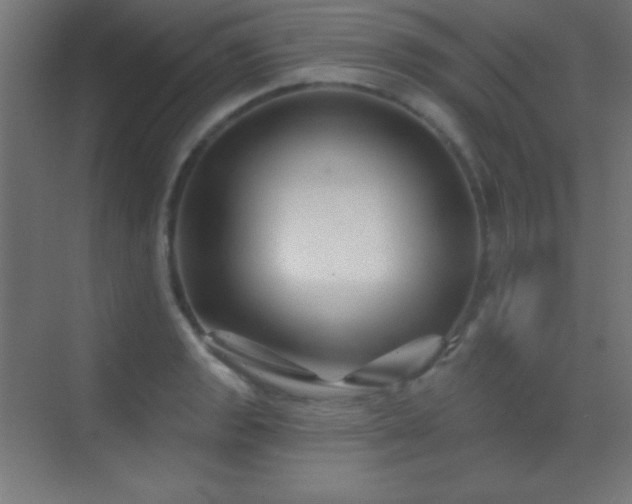 X0000070241133200606021123