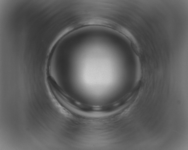 X0000070241138200606021123