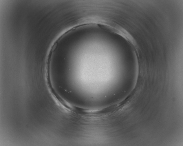 X0000070241144200606021123