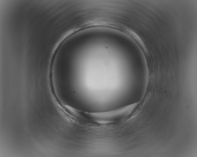X0000070241146200606021123