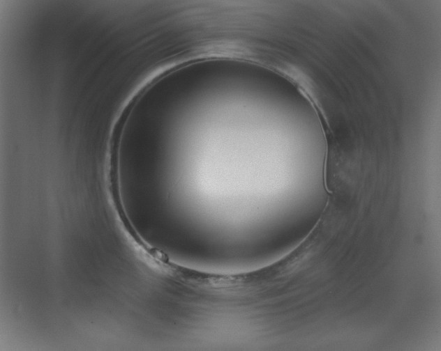 X0000070241147200606021123