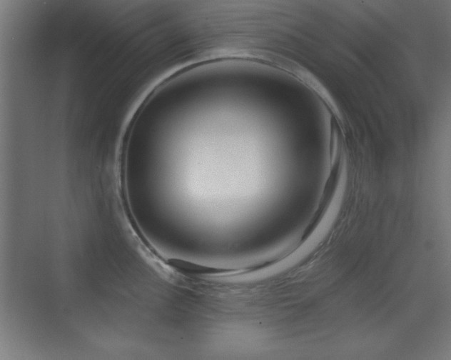 X0000070241148200606021123